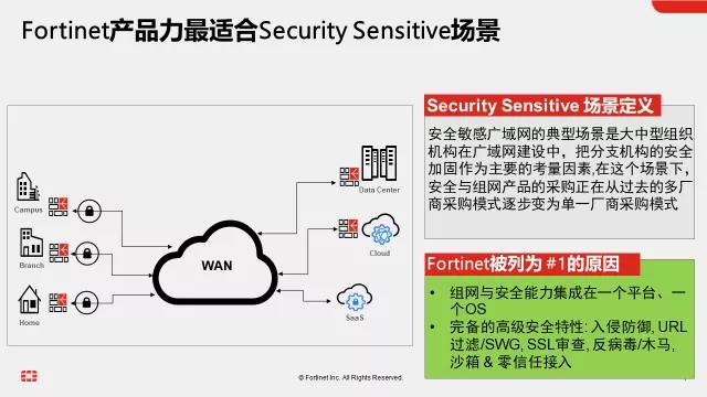 1637219419366716.jpg 3.jpg