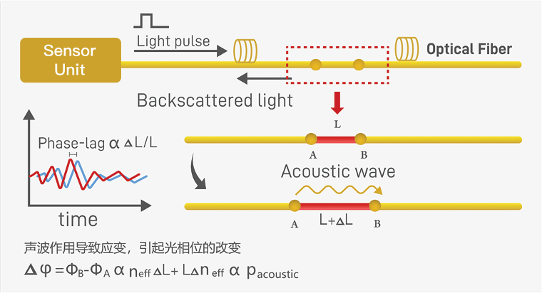 1747119029600674.png image.png